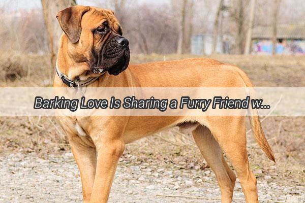 Barking Love Is Sharing a Furry Friend with a Partner the Purrfect Match